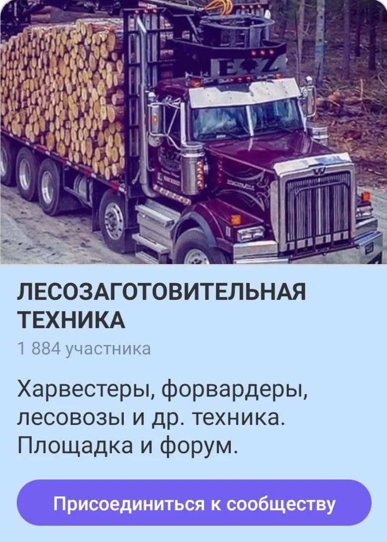 Чат по дереву — lesotexnika